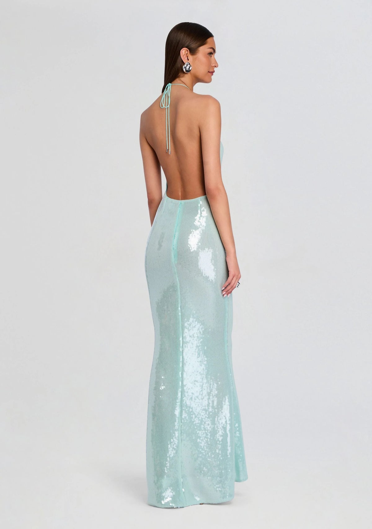 Elexa Sequin Dress