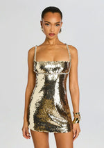 Aderyn Sequin Dress