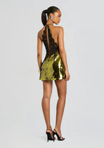 Edda Lace Embellished Dress
