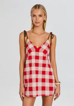 Shantie Mini Dress