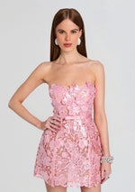 Novalie Sequin Lace Dress