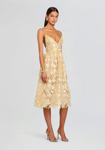 Eulalia Sequin Lace Dress