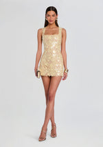 Elainy Sequin Lace Dress