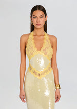 Vicky Sequin Lace Dress