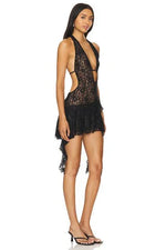 Irisia Lace Mini Dress