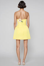 Rex Yellow Applique Floral Bustier Mini Dress