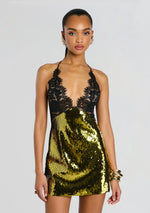 Edda Lace Embellished Dress