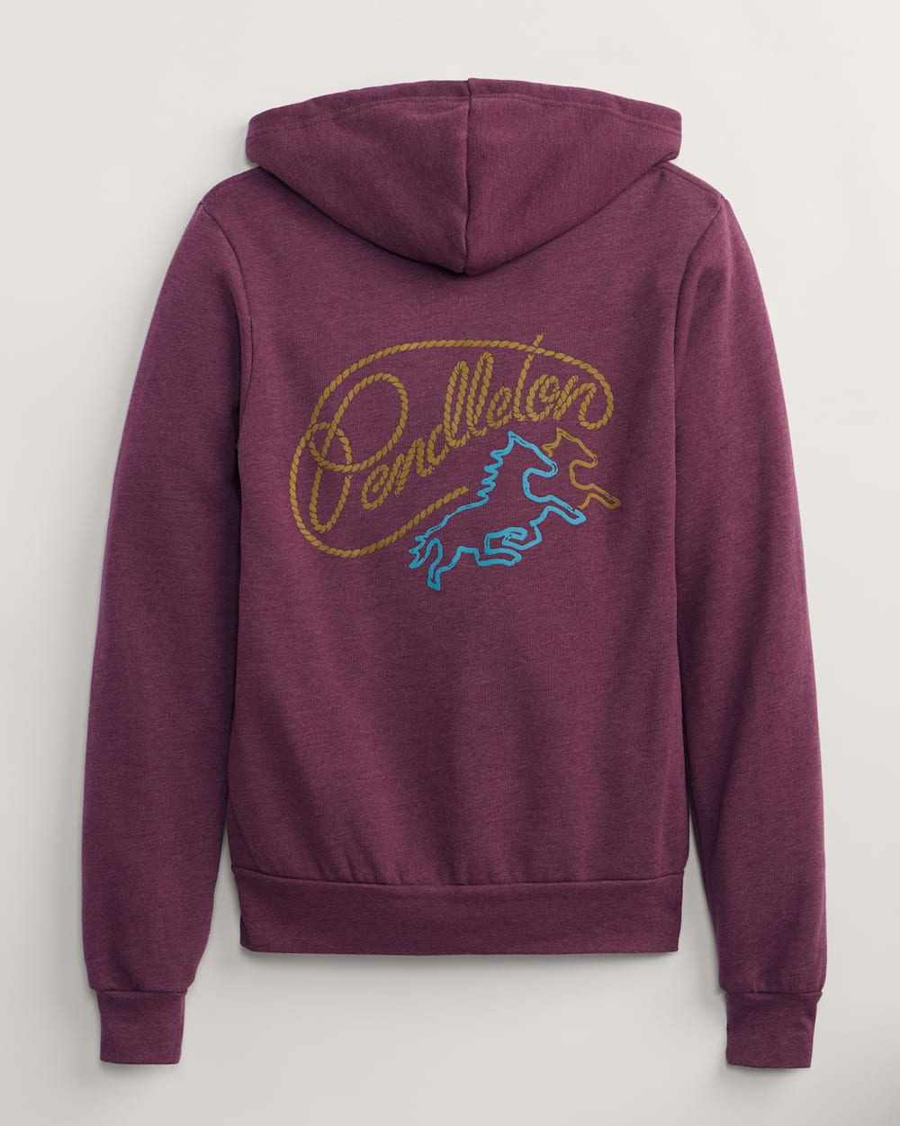 WOMEN'S ROPE GRAPHIC ZIP HOODIE